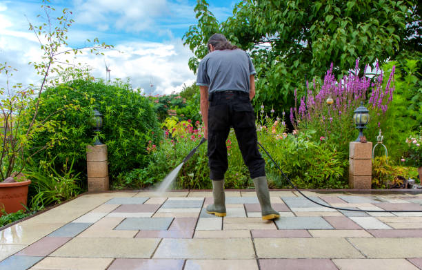 Best Pre-Holiday Cleaning  in Shenandoah Heights, PA